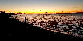 Olta Balıkçılığı Genel Bilgileri