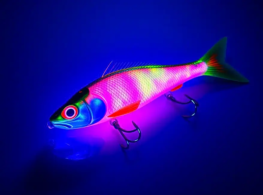 Balıkçılıkta UV (UltraViolet) renklerin Önemi