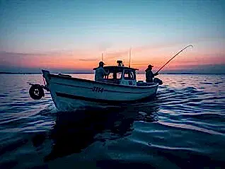 Tekneden Olta Balıkçılığı: Denizlerin Keyfini Çıkarın