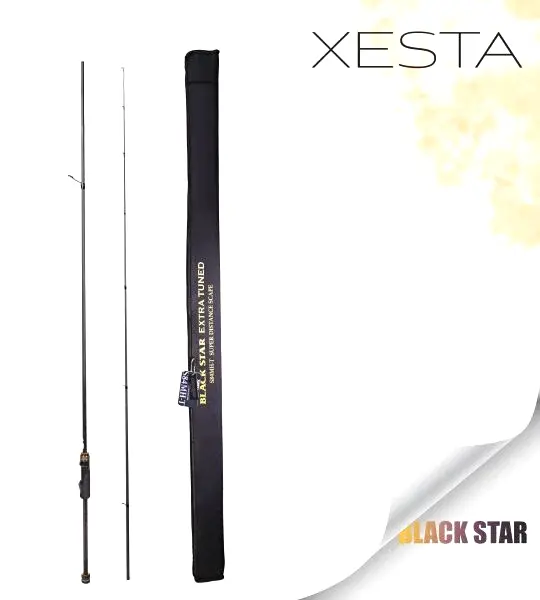 XESTA BLACKSTAR EXTRA TUNED S84MH-T KAMIŞ 2.55M 1.5-18G 2P