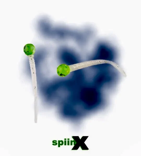 SPIINX MICE TAIL SİLİKON 8CM 12P PINEAPPLE CLEAR