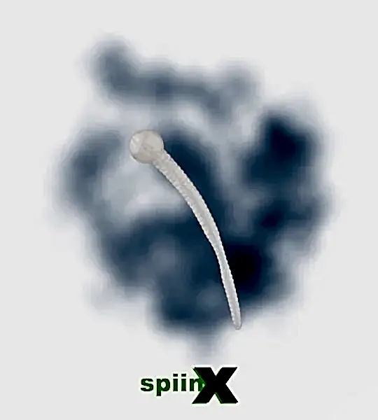 SPIINX MICE TAIL SİLİKON 8CM 12P GLOW PEARL WHITE