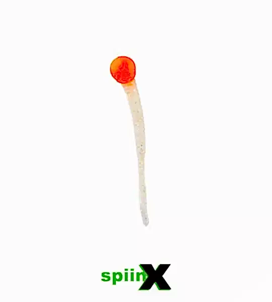 SPIINX MICE TAIL SİLİKON 8CM 12P GLOW ORANGE GUM