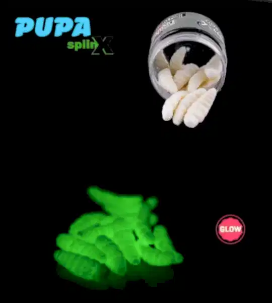 SPIINX PUPA 35MM 12P PEYNİR ALL GLOW 61