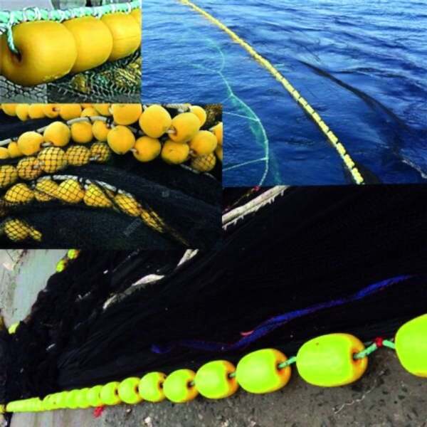 Liman YQE EVA Mantar-SARI