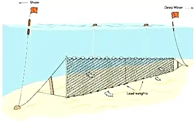 Barbun Uzatma Ağı 100 M Sade 0,18 mm Misina