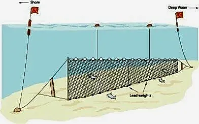 Yarı Profesyonel Turna Ağı 100 Metre 2 Numara İp Kalınlıklı