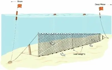 Yarı Profesyonel Turna Ağı 50 Metre 2 Numara İp Kalınlıklı