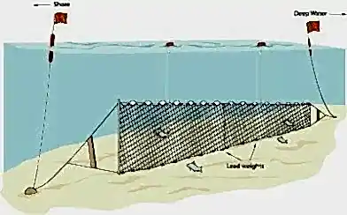 Yarı Profesyonel Sazan Ağı 100 Metre 0,20 mm Misina