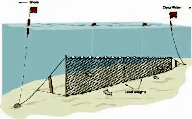 Fanyalı Profesyonel Turna Ağı 100 Metre 2 Numara İp Kalınlıklı