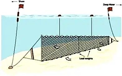 Fanyalı Profesyonel Turna Ağı 100 Metre 3 Numara İp Kalınlıklı