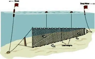 Fanyalı Profesyonel Turna Ağı 50 Metre 2 Numara İp Kalınlıklı