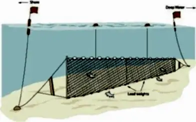 Fanyalı Profesyonel Turna Ağı 50 Metre 3 Numara İp Kalınlıklı