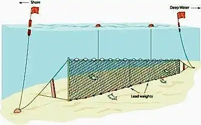 Fanyalı Profesyonel Sazan Ağı 100 Metre 0,20 mm Misina