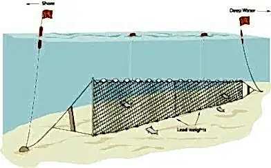 Fanyalı Profesyonel Sazan Ağı 100 Metre 0,23 mm Misina