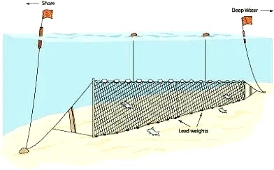 Fanyalı Profesyonel Sazan Ağı 50 Metre 0,23 mm Misina