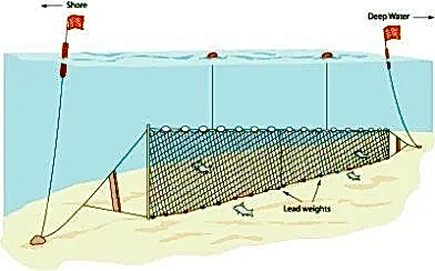 Fanyalı Profesyonel Turna Ağı 100 Metre 0,20 mm Misina