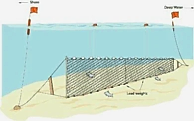 Fanyalı Profesyonel Turna Ağı 100 Metre 0,23 mm Misina