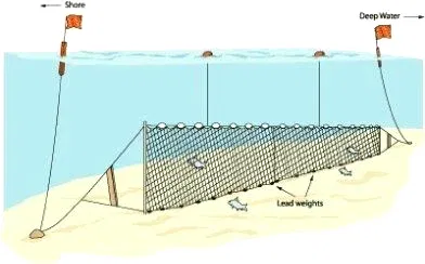 Fanyalı Profesyonel Turna Ağı 50 Metre 0,23 mm Misina