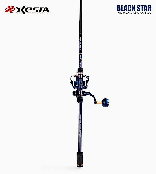 XESTA BLACKSTAR HARD S84MHX KAMIŞ 2.54M 7-35G