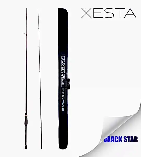 XESTA BLACKSTAR S78M-S KAMIŞ 2.34M 1-20G 0.2-08PE 2P