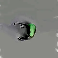 Glowlu Hırsızlı Sarımsak Zoka