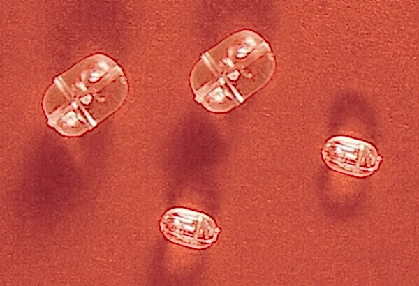 Lineaeffe Cross Beads