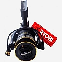 RYOBI VIRTUS 5000