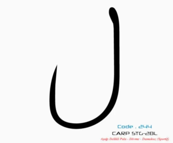 2447 CARP STG-2 DAMAKSIZ  #8 TEFLON 9P