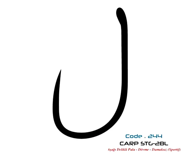 2447 CARP STG-2 DAMAKSIZ  #6 TEFLON 8P