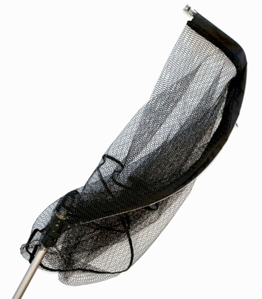 Lineaeffe Guadino Monster