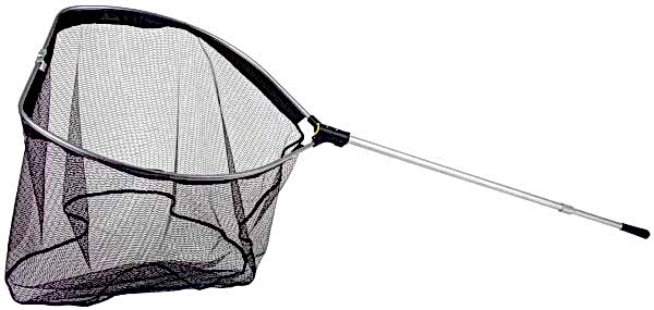 Lineaeffe Guadino Monster