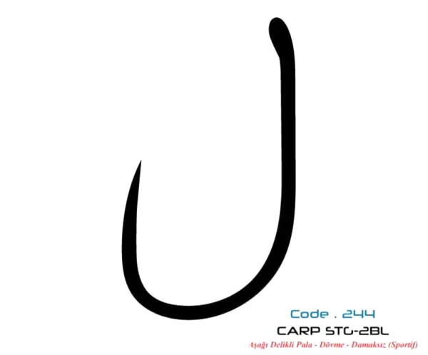 2447 CARP STG-2 DAMAKSIZ  #4 TEFLON 7P