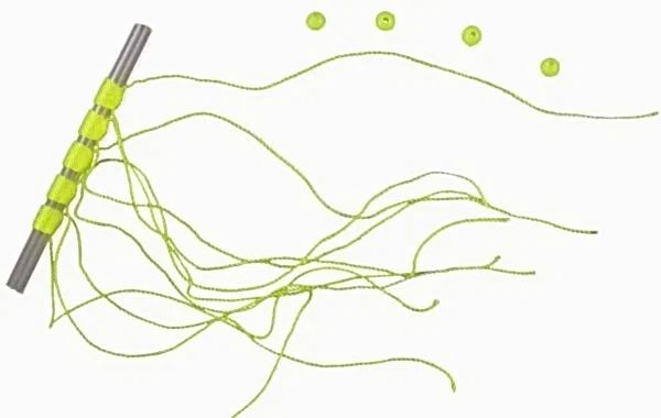 Lineaeffe Stoper Tope