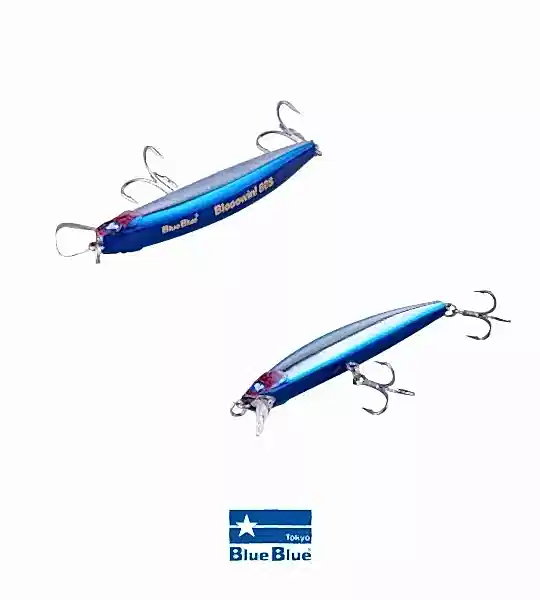 BLOOWIN! 80 SINKING 8G #01